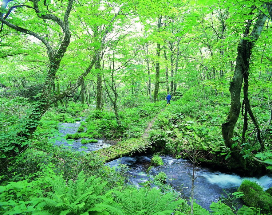 Kyukamura Oku-Daisen 20/65