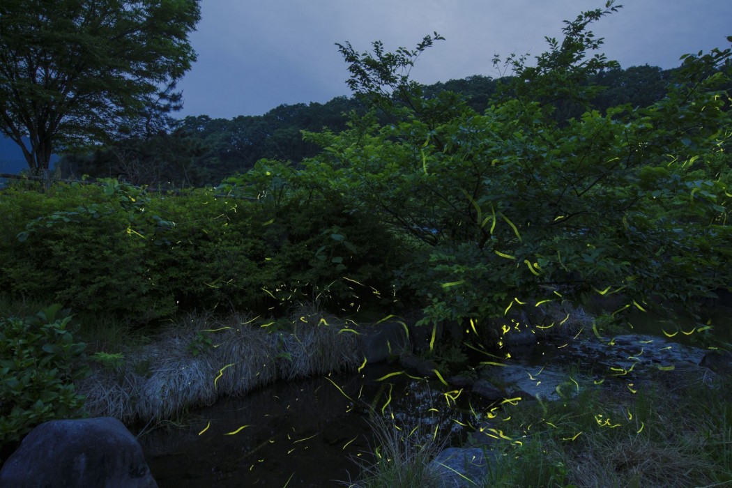 Kyukamura Oku-Daisen 22/65