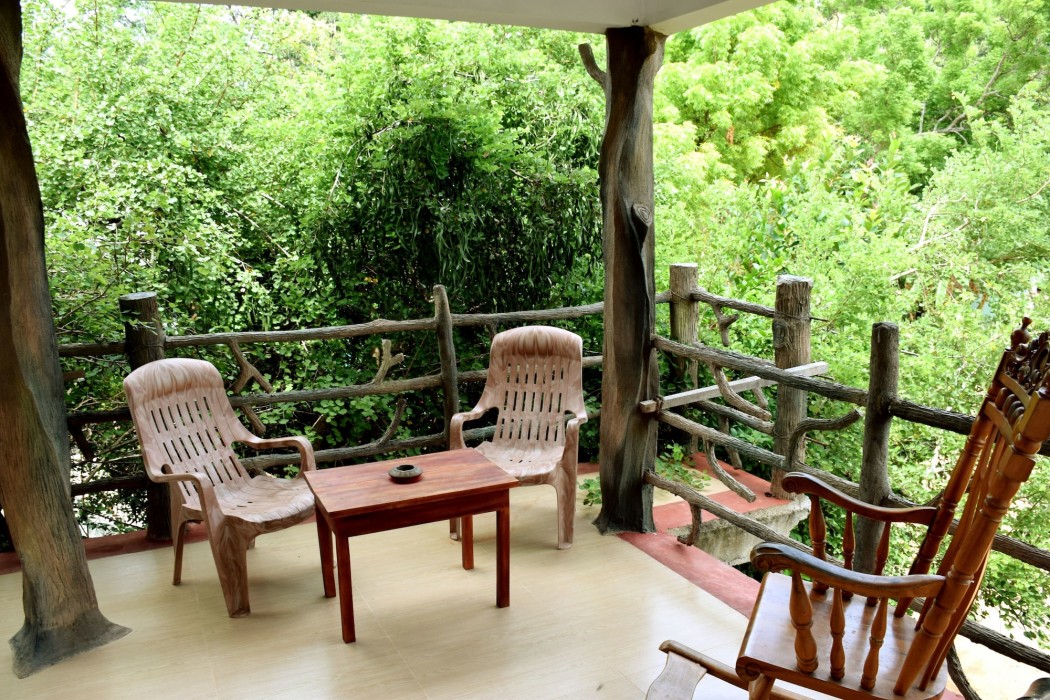 Hungry Lion Resort photo5
