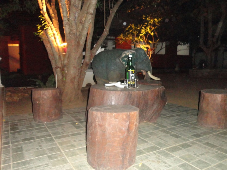 Elephant Rest Udawalawa 13/54