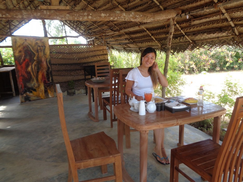 Sigiriya Vista酒店(Sigiriya Vista) 图片3
