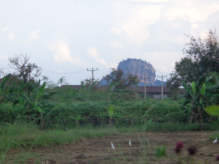 Sigiriya Vista酒店(Sigiriya Vista) 图片2