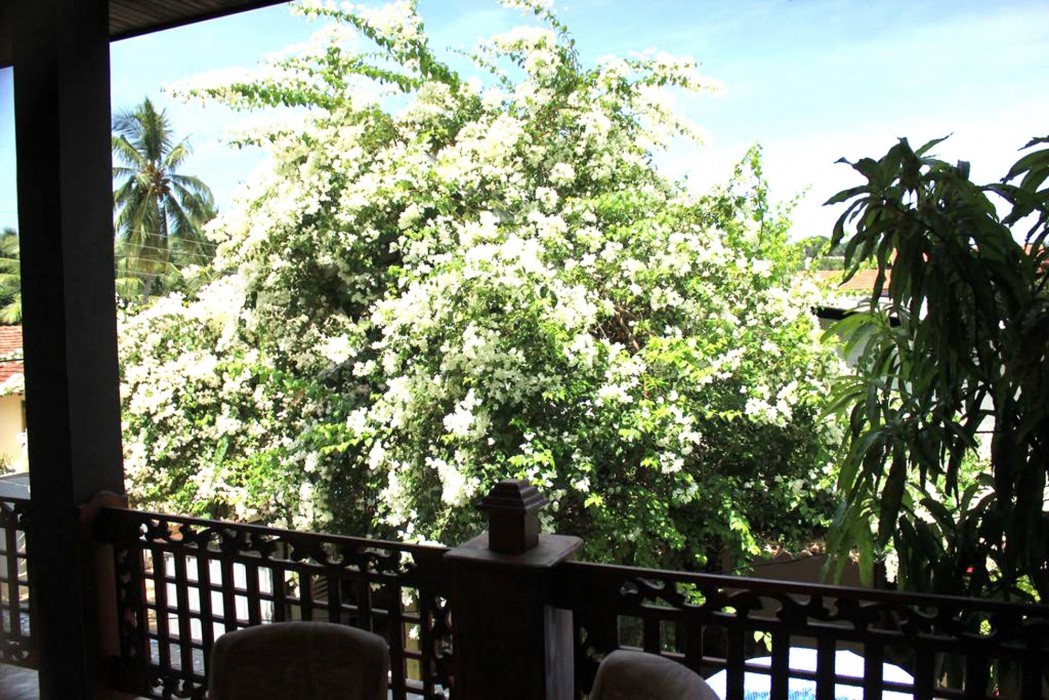 Layathraa Hotel And Restaurant 28/62