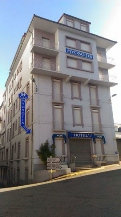 Myosotis 26/57
