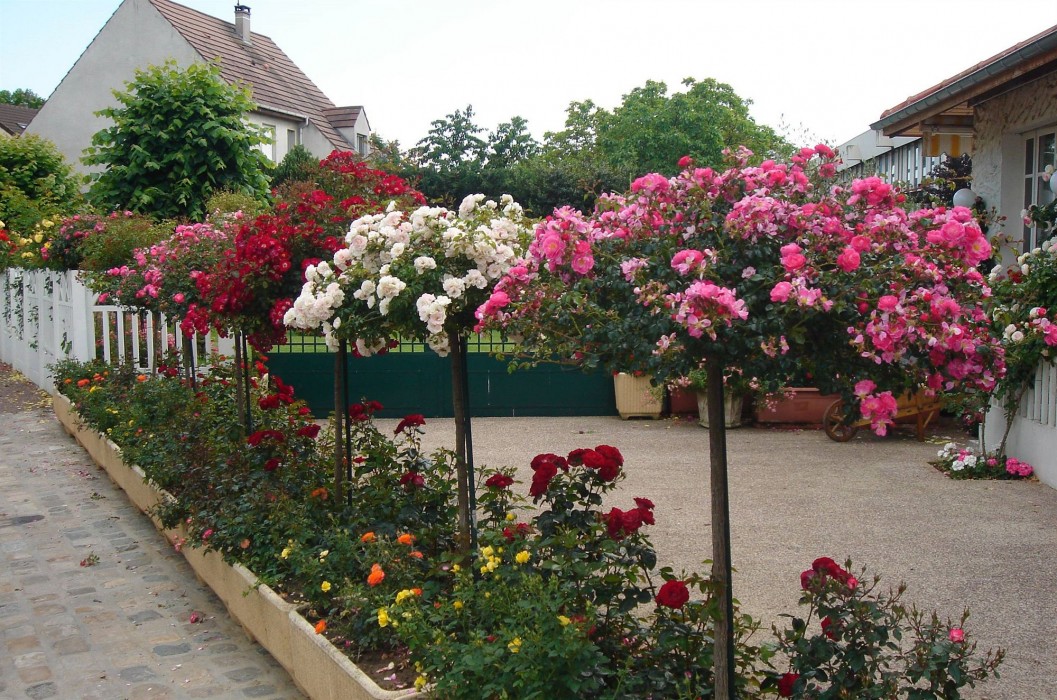 Hôtel Restaurant Maison Blanche 33/58