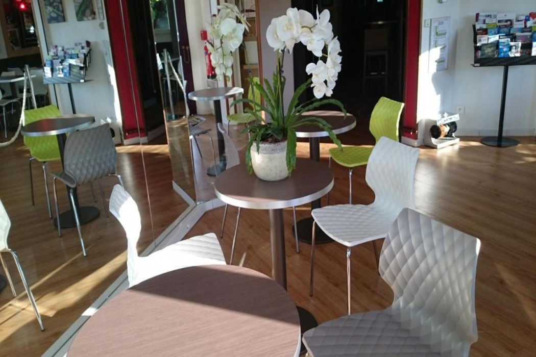 A&H Privilege Hotel Lyon Eurexpo 17/37