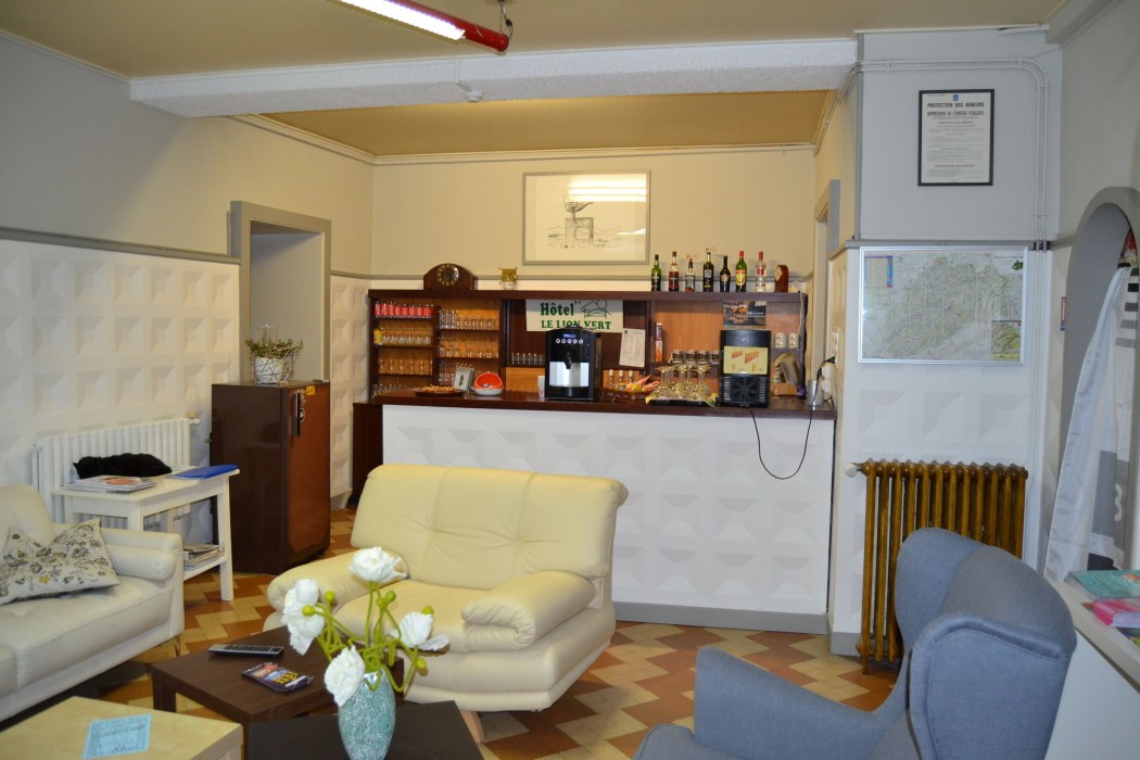 Hôtel Du Lion Vert 18/59