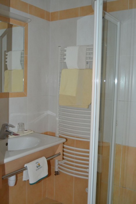 Hôtel Du Lion Vert 12/59