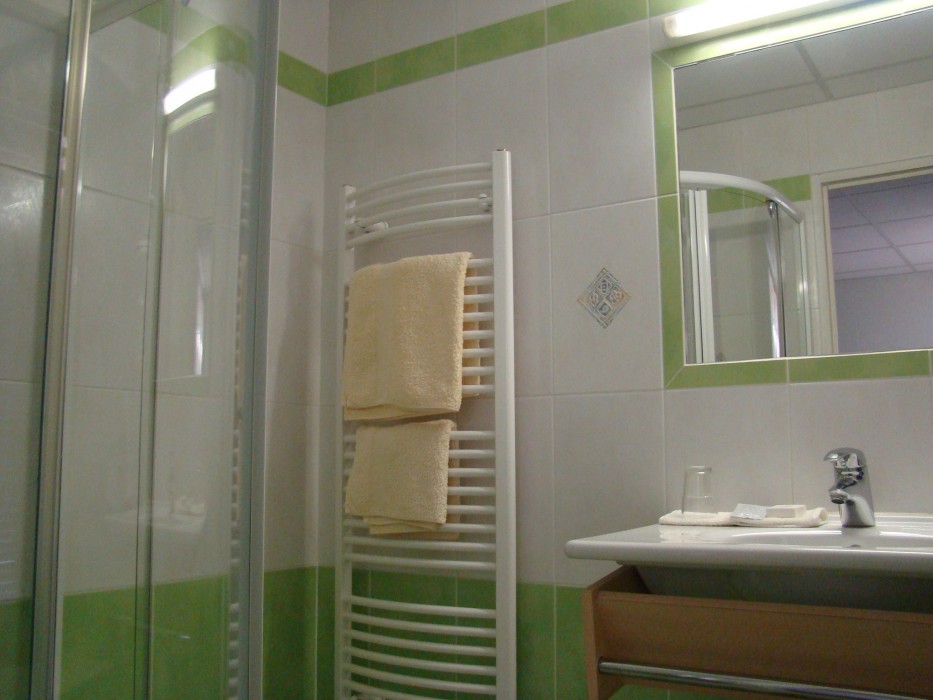 Hôtel Du Lion Vert 34/59