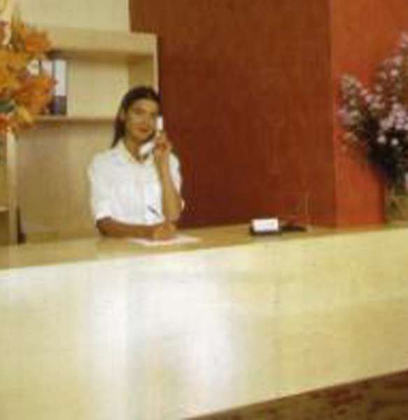 Reem Hotel 9/65