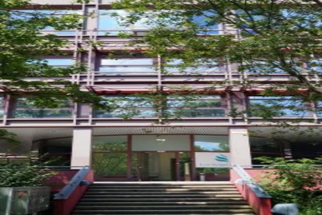 Low Budget Hostel 17/53