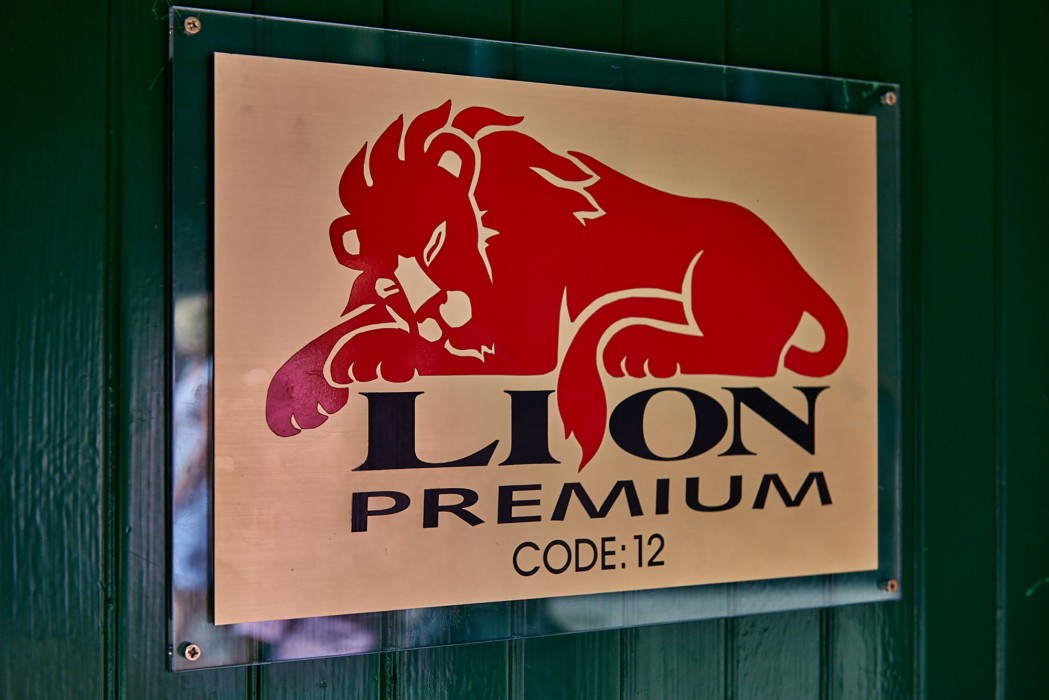 Lion Premium Hotel 55/85