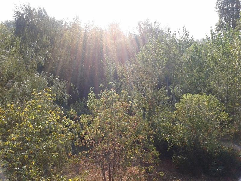 Bed-Breakfast Hotel Budapest 13/22