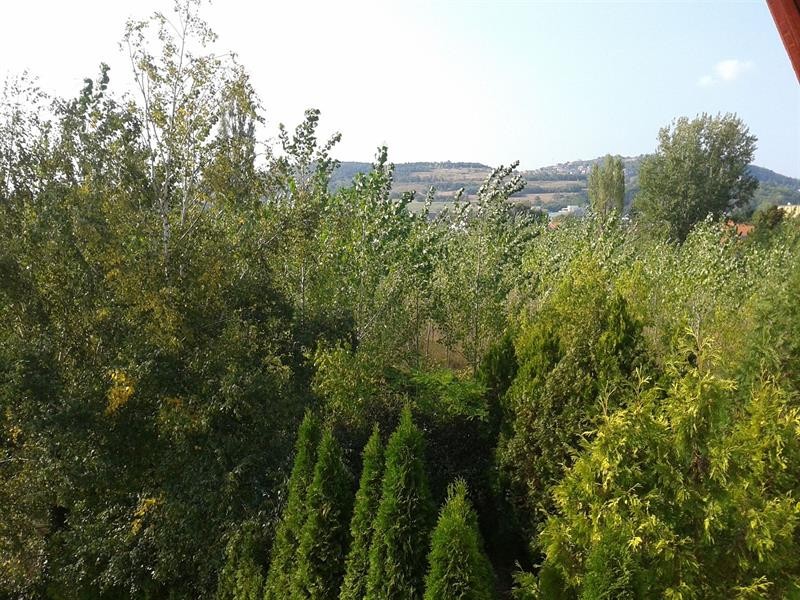 Bed-Breakfast Hotel Budapest 11/22