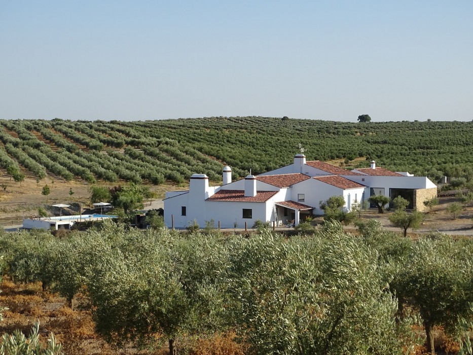 Monte Da Estrela Country House & Spa 31/74