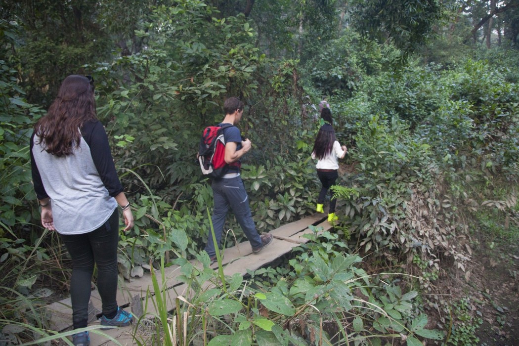 Green Mansions Jungle Resort 26/70