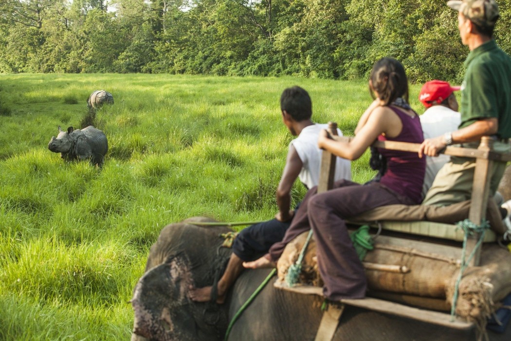 Green Mansions Jungle Resort 34/70