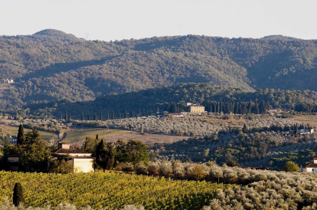 Villa Medicea Di Lilliano 26/95