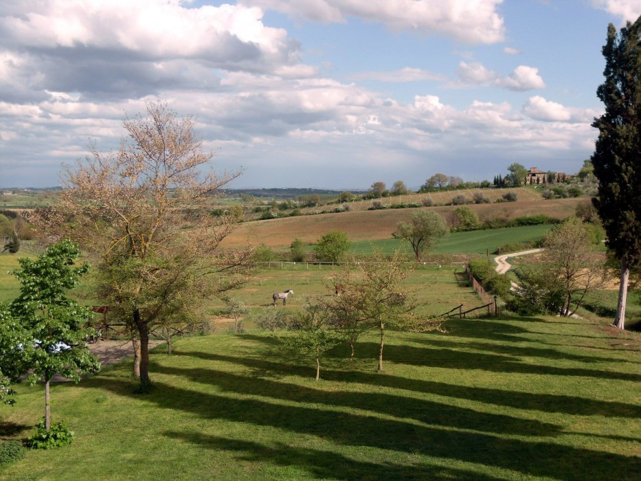 Podere Pievina 50/100