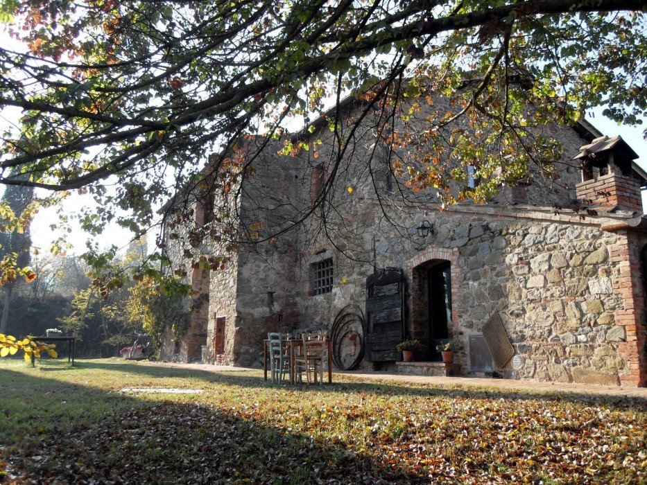 Podere Pievina 62/100