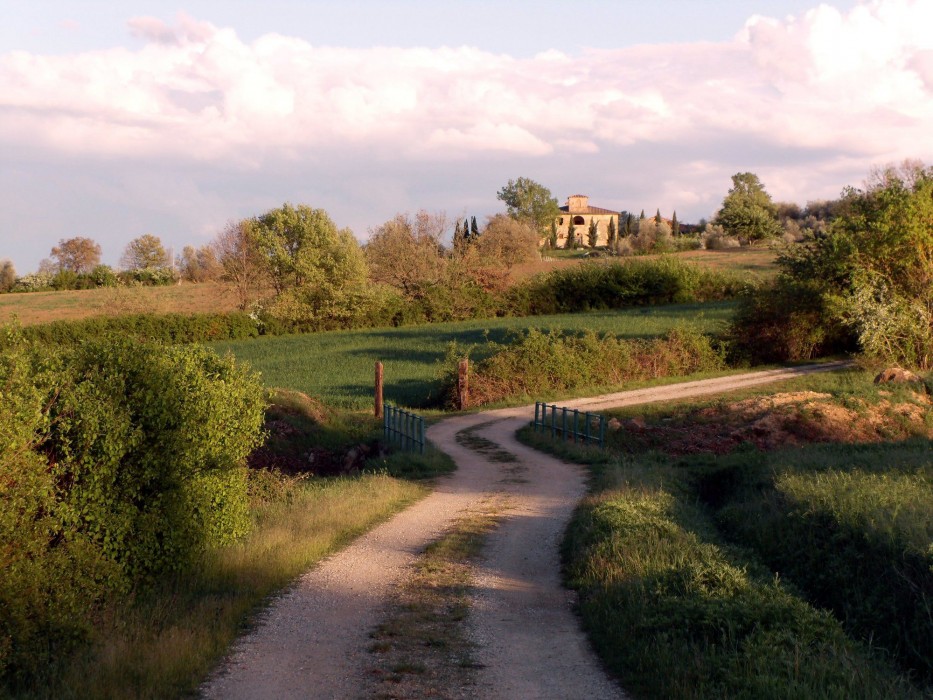 Podere Pievina 16/100