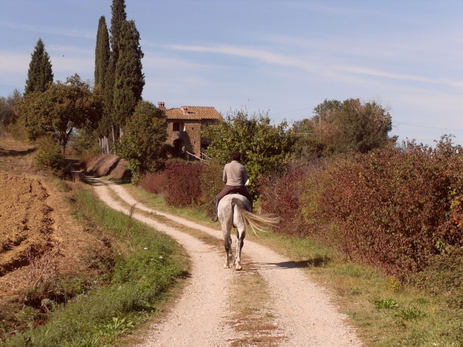 Podere Pievina 44/100