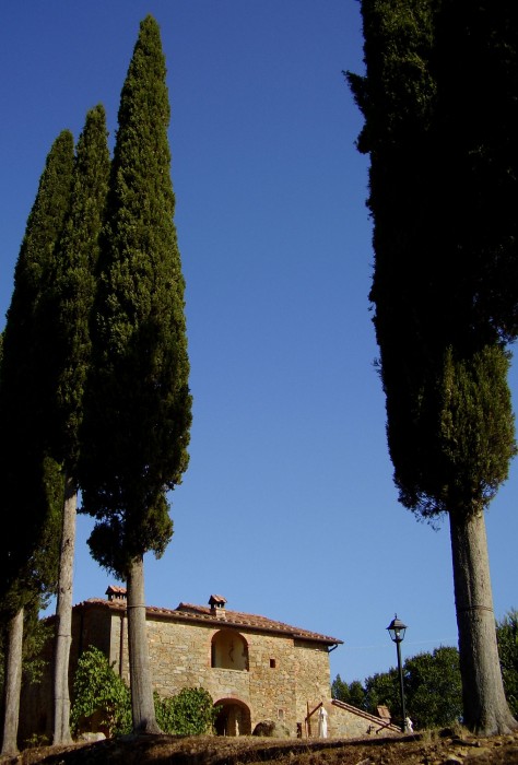 Podere Pievina 54/100