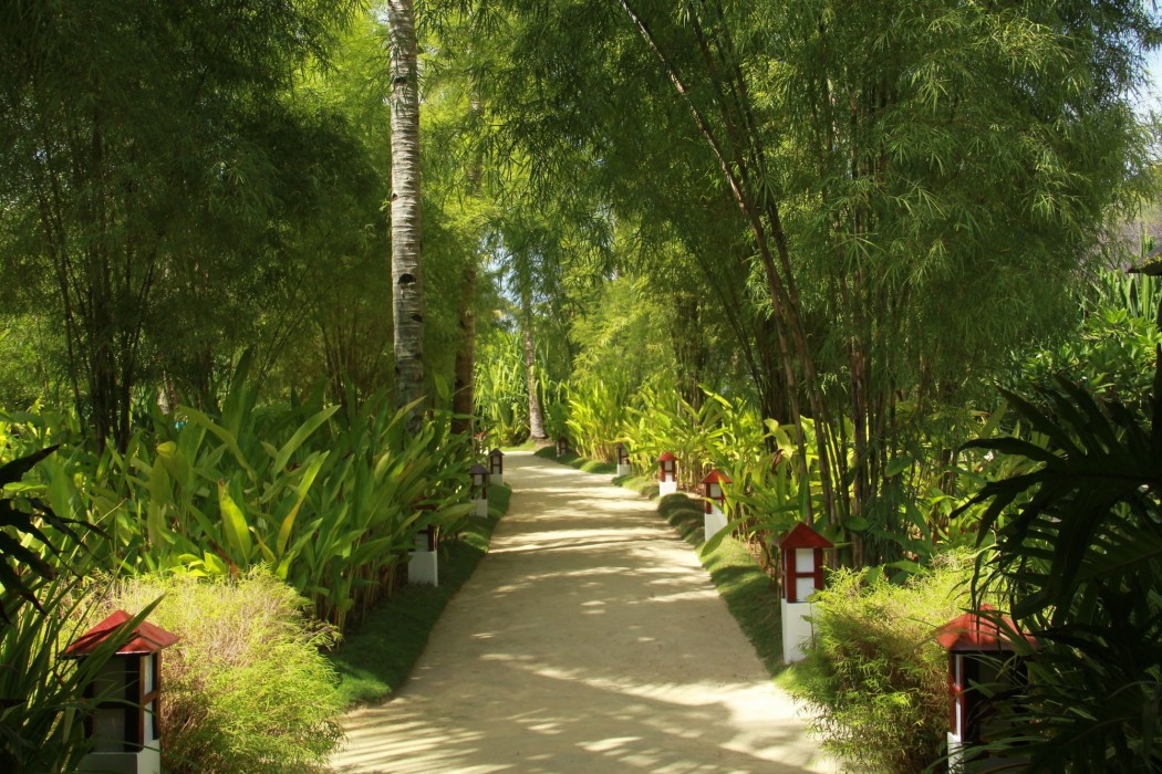 Isla Cabana Resort 45/100