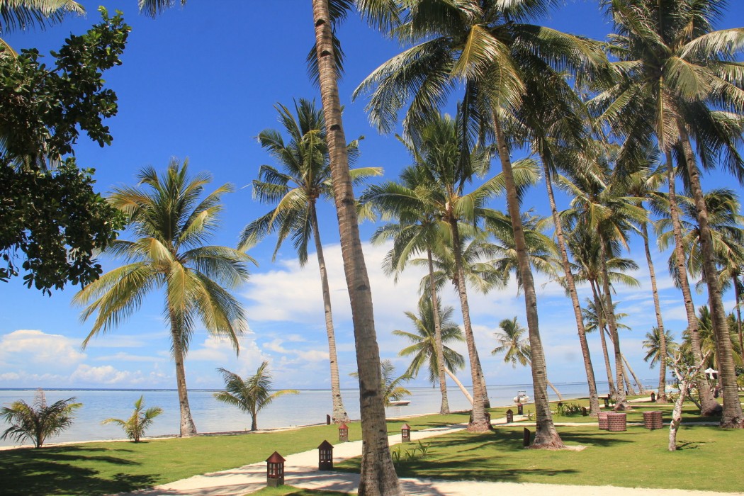 Isla Cabana Resort 28/100