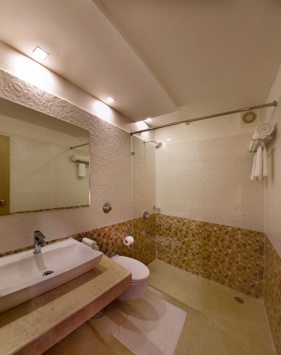 Clarks Inn Hampi 26/57