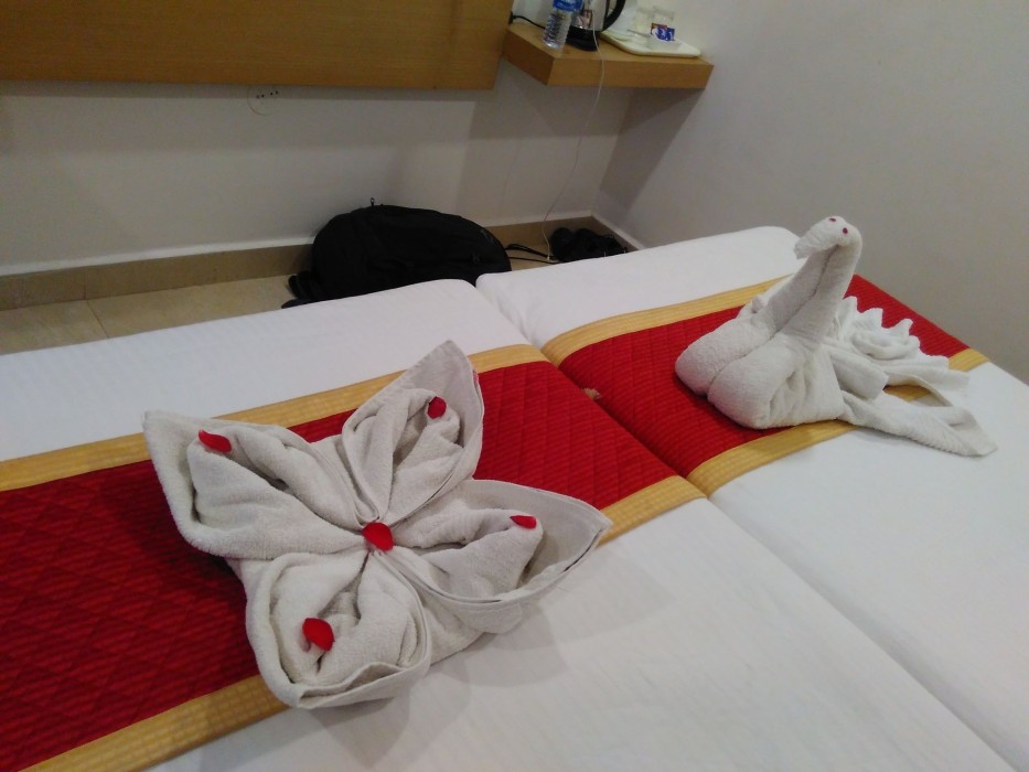 Clarks Inn Hampi 44/57