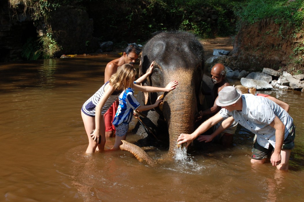 Mannaas Veedu Retreat And Spa 18/42