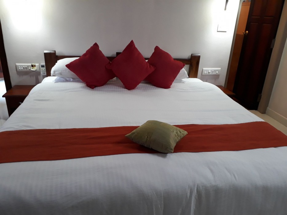 Mannaas Veedu Retreat And Spa 22/42