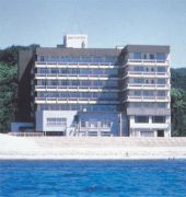 Hotel Mancho 1/50