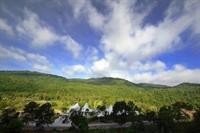 Aristo Chic Resort & Farm 6/39