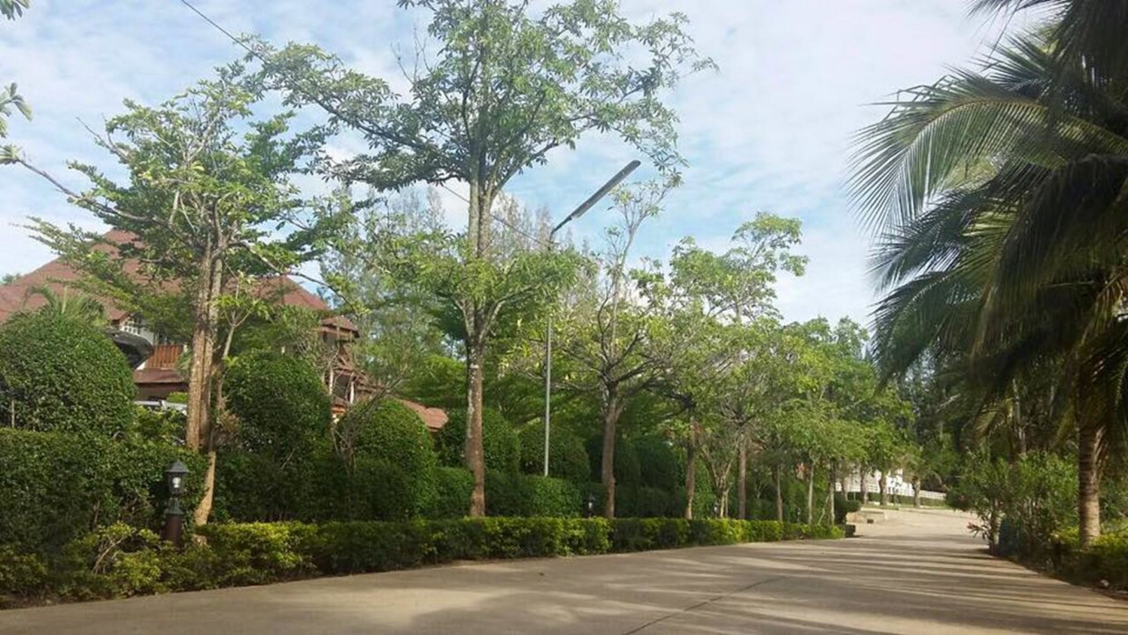 Ruen Sam Ran Resort 14/34