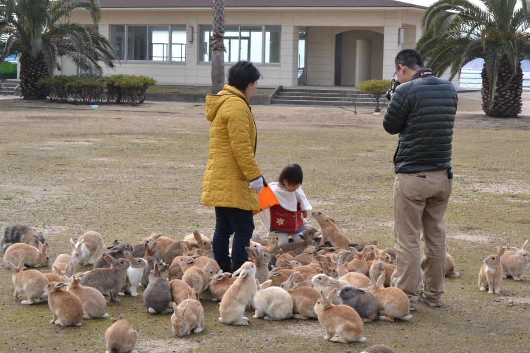 Kyukamura Ohkunoshima 7/66