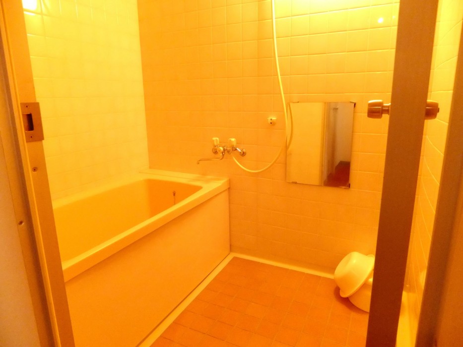 Saku Ichimanri Onsen Hotel 33/83