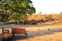 Kambaku Safari Lodge 17/40