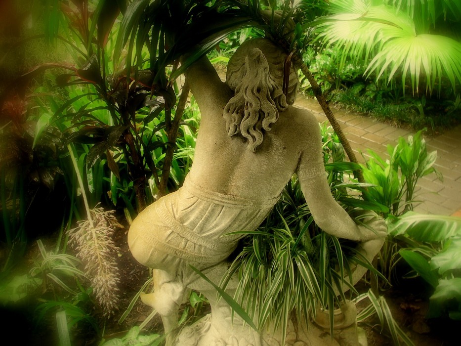 St. Lucia Wetlands Guest House 25/61
