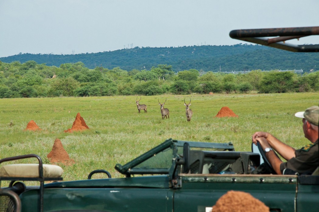Casart Game Lodge 18/72