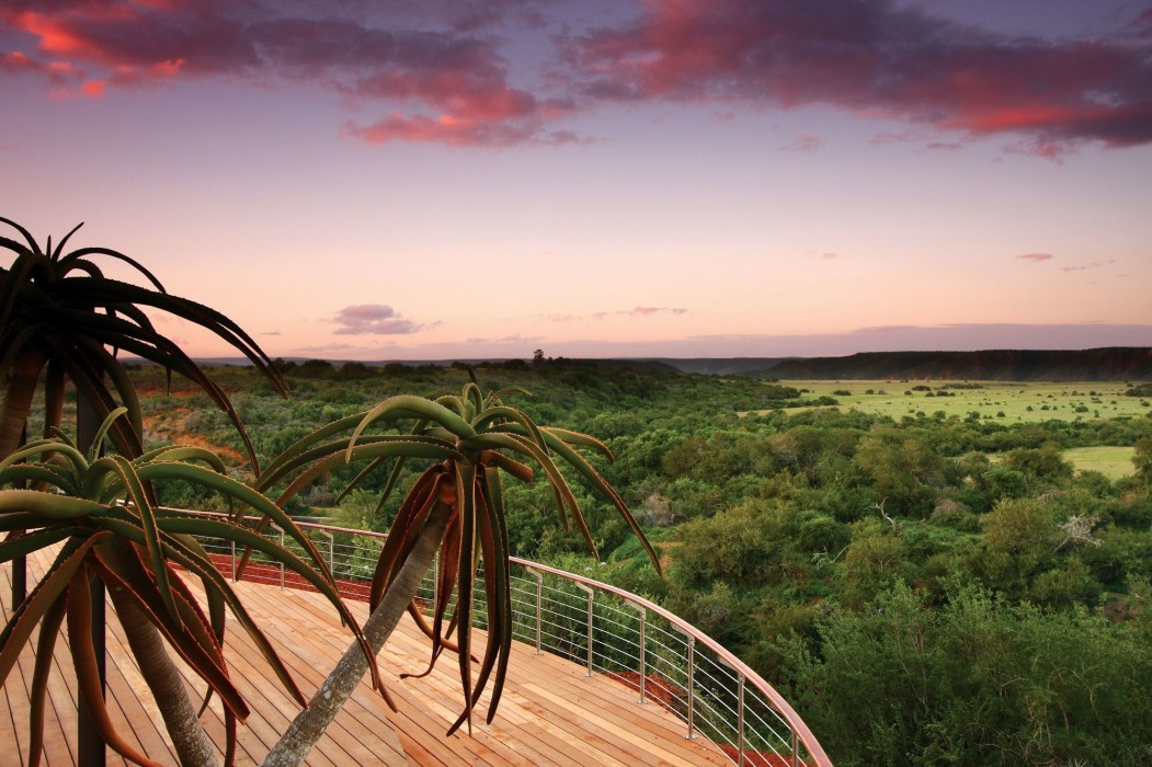 Shamwari Private Game Reserve 36/50