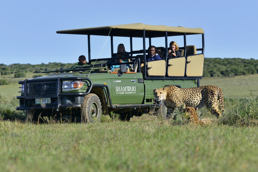 Shamwari Private Game Reserve 33/50