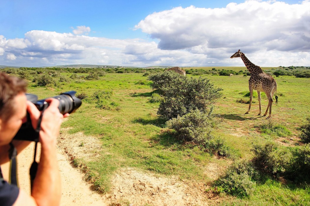 Shamwari Private Game Reserve 39/50