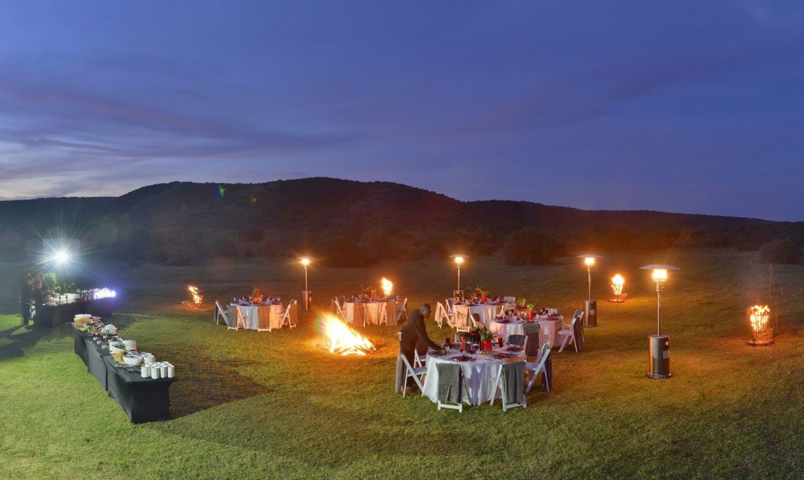 Shamwari Private Game Reserve 6/50