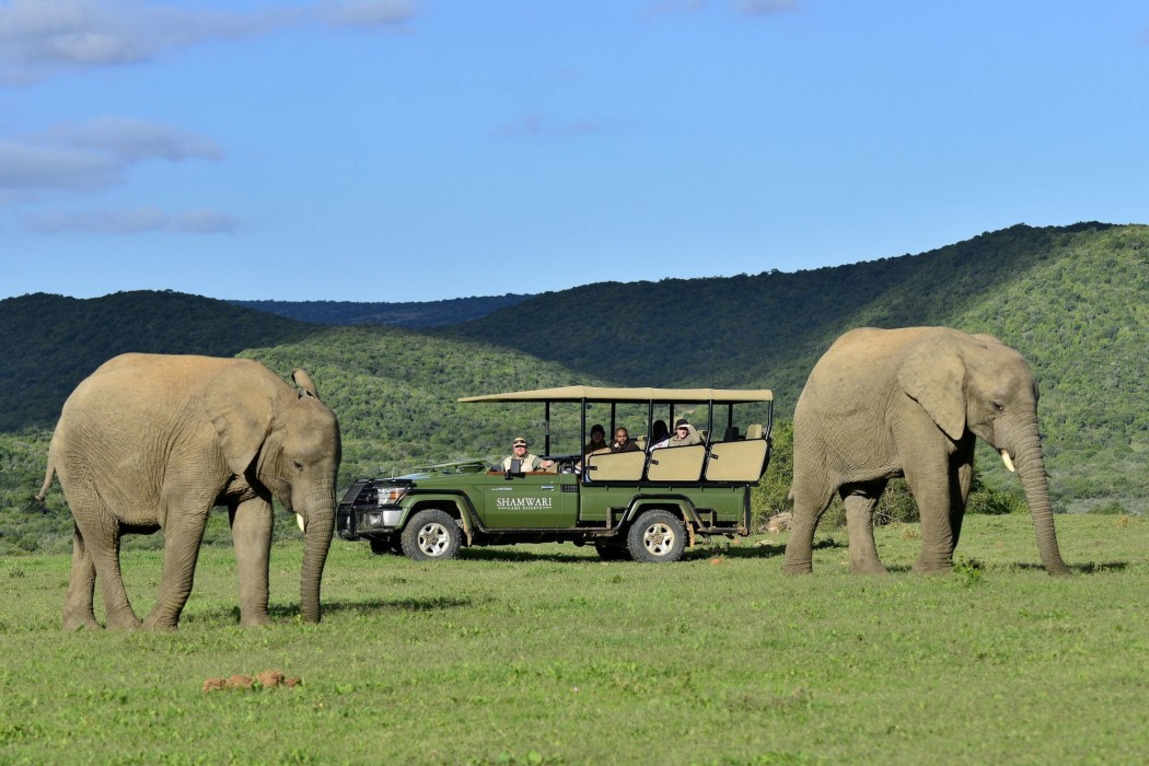 Shamwari Private Game Reserve 34/50