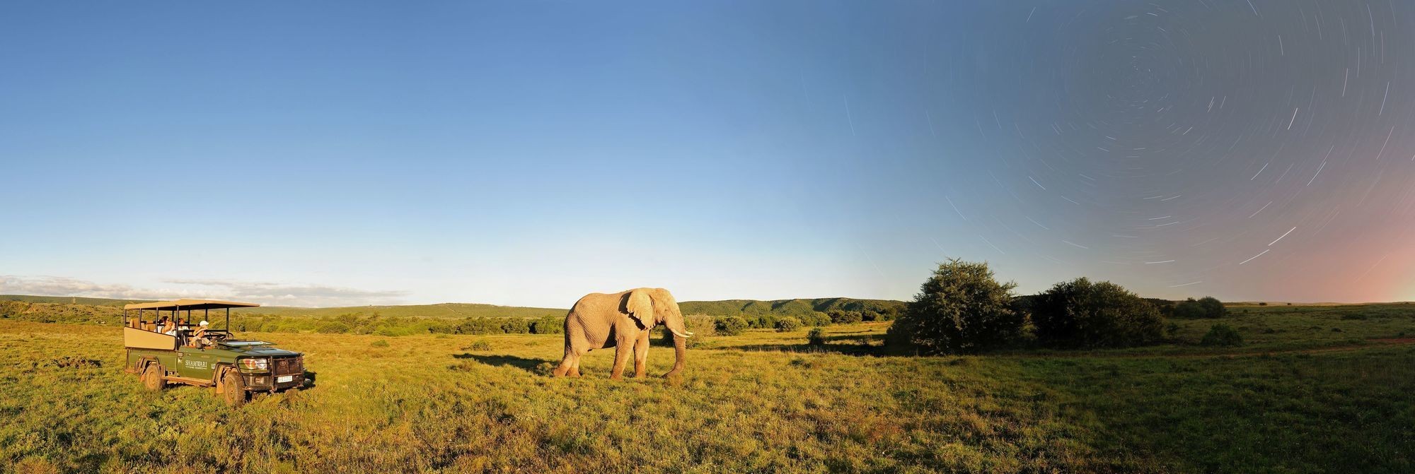 Shamwari Private Game Reserve 23/50