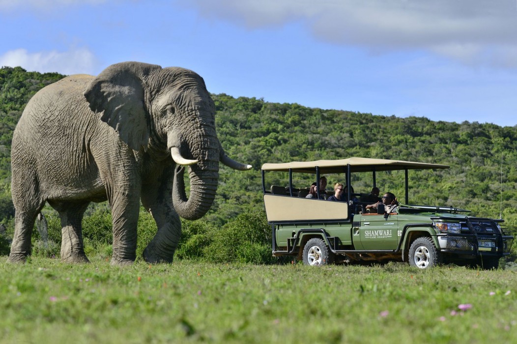 Shamwari Private Game Reserve 49/50