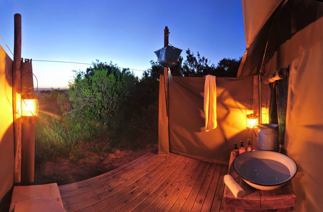Shamwari Private Game Reserve 47/50