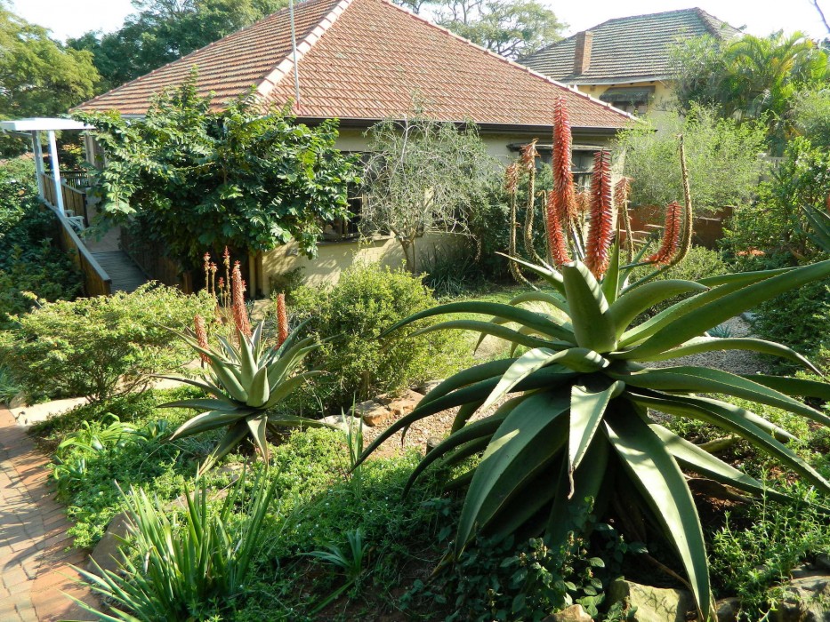 Mackaya Bella Guest House 25/71